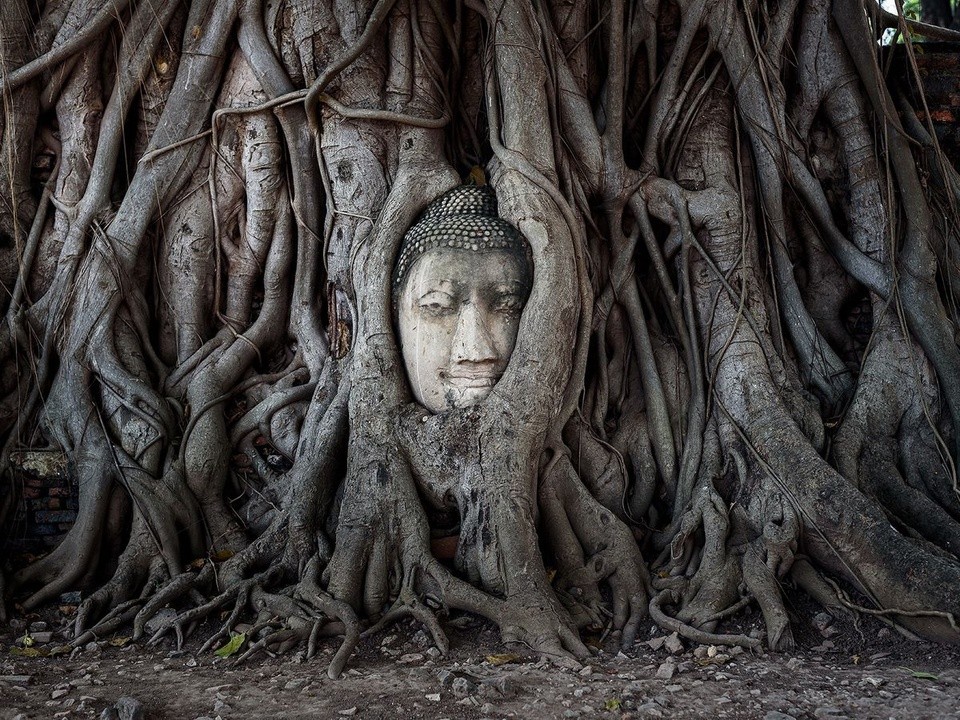 Wat Mahathat. Photo: Bangkok Unesco.