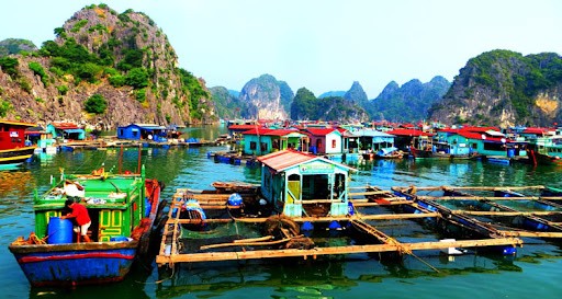 Photo: Paradise Elegance Cruise Halong