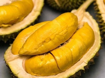The Most Delicious Tropical Fruits You Should Try in Vietnam