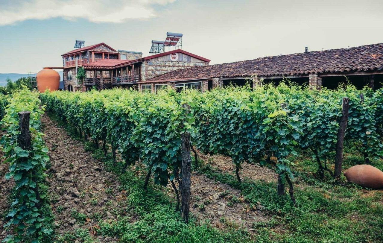 Napareuli village is home to Twins Old Cellar, which is a mandatory stop in the country. Photo: Getty