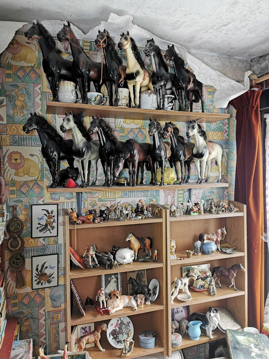 The house is full of horse-related decorations  (Image: Kyle Urbex)