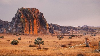 Discover Amazing Facts About Madagascar, The World’s Fourth Largest Island