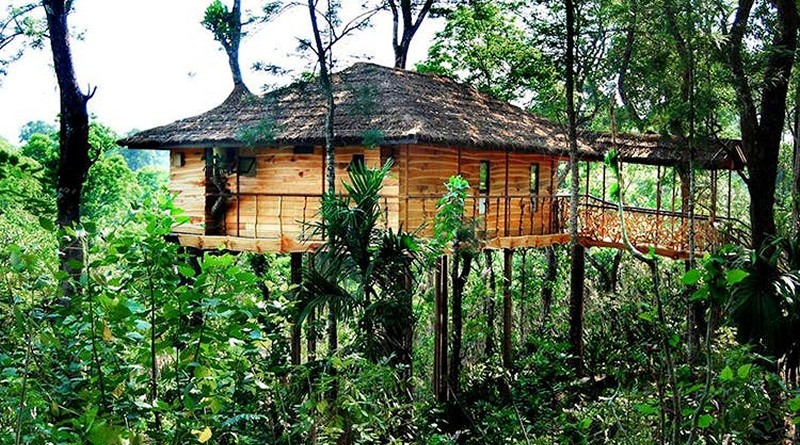 Photo:  Kerala Treehouse