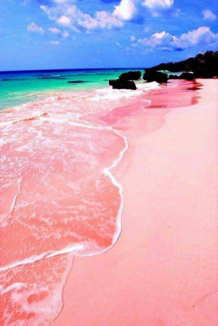 Pink sands