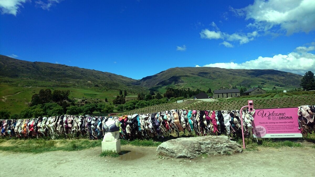 Discover The Tale Of New Zealand's Unique Cardrona Bra Fence