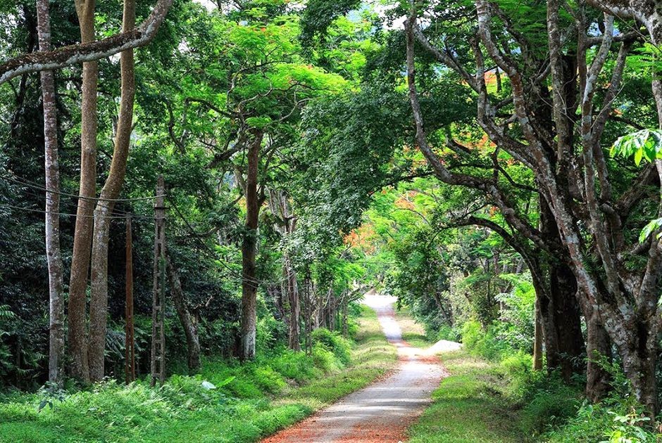 Cuc Phuong Named Asia’s Leading National Park