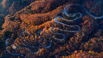 Irohazaka: The Most Beautiful Must-Visit Winding Road In The Autumn