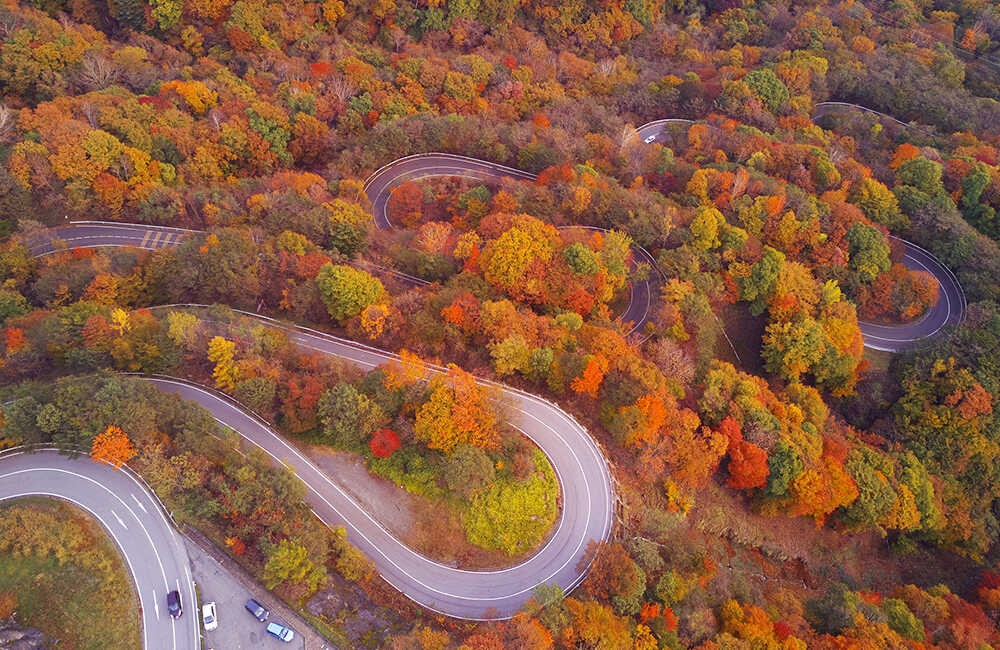 Irohazaka: The Most Beautiful Must-Visit Winding Road In The Autumn ...