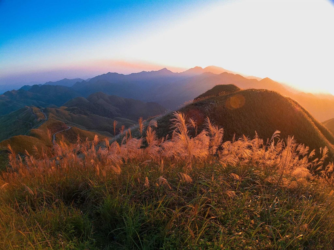 Photo: Nguyen Duc Cong 