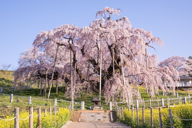 5 Most Fascinating Spots To Visit In Fukushima For A Spring Vacation