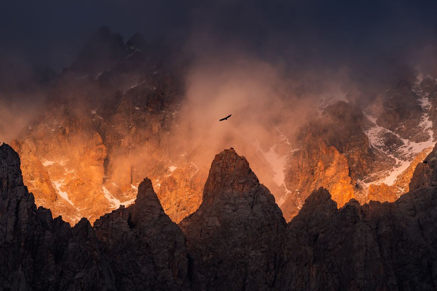 An Eagle Flying Over The Tops Of The Ala-Archa Mountains. Photo: Albert Dros 