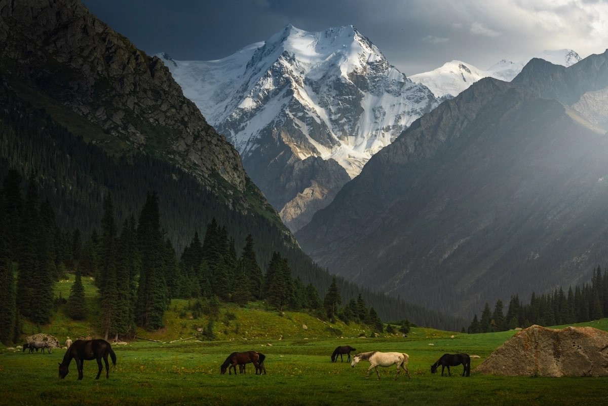 Landscape photographer Albert Dros spent three weeks photographing the unspoiled beauty of Kyrgyzstan. Photo: Albert Dros 