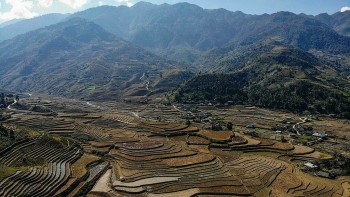 AFP: Mu Cang Chai’s Spectacular Terrace Ricefields In Vietnam Amaze Tourists