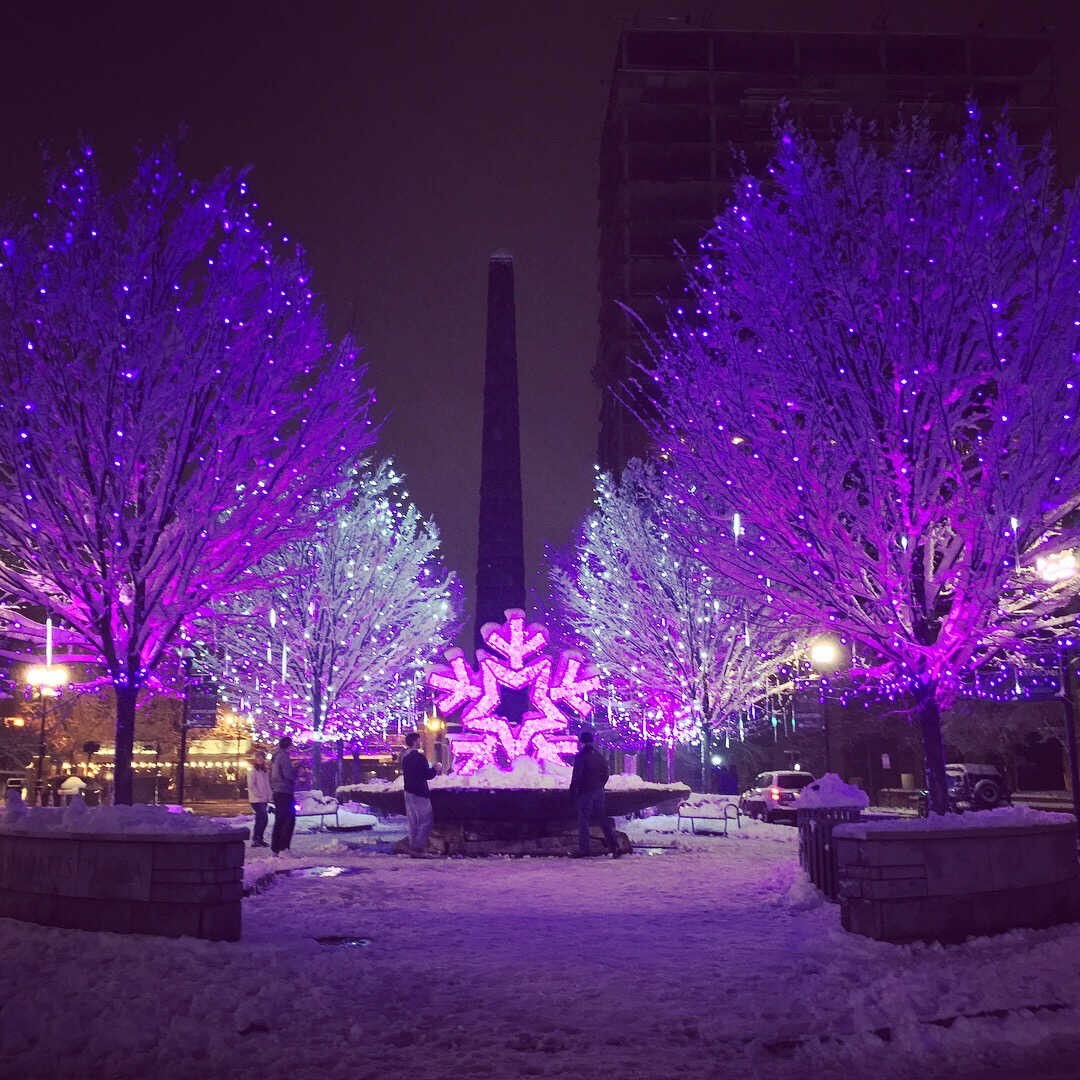 Photo:  The North Carolina Arboretum