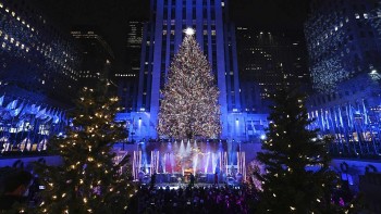 Lighting Up The Air: The Secrets Of The Most Famous Christmas Tree In The US