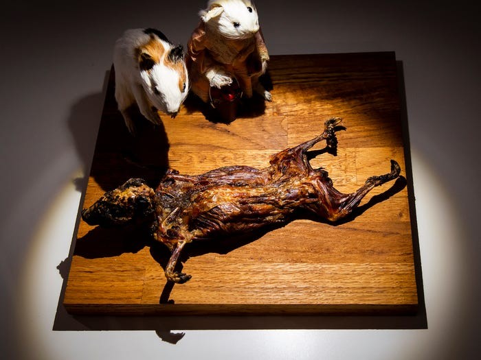 Peruvian Cuy. Anja Barte Telin / The Disgusting Food Museum