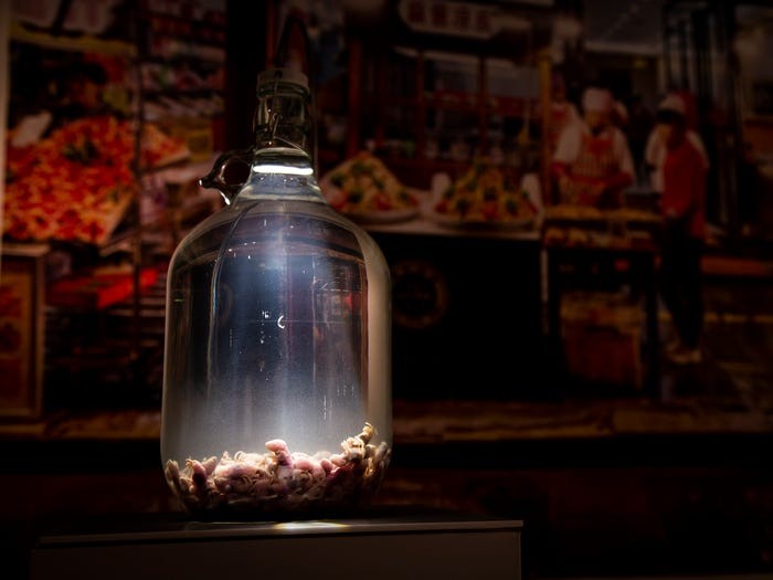 Photo: Anja Barte Telin / The Disgusting Food Museum