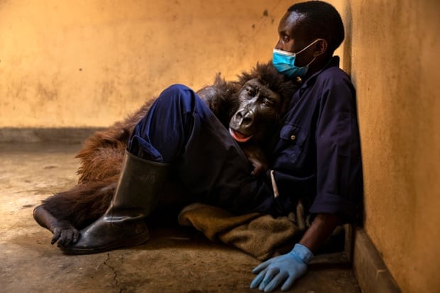 Photo: Brent Stirton/Getty Images