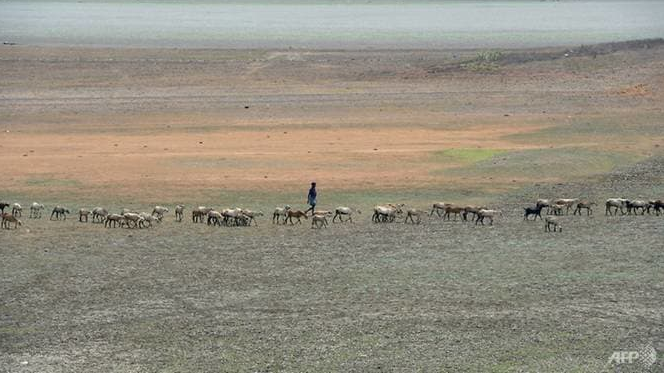 india hottest decade on record more than 1500 people killed in 2019