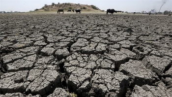India: Hottest decade on record, more than 1,500 people killed in 2019