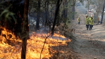 australia wildfires death toll raised to 28 after another firefighter dies