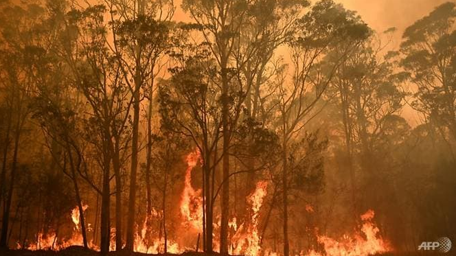 australias massive fires could become routine climate scientists warn