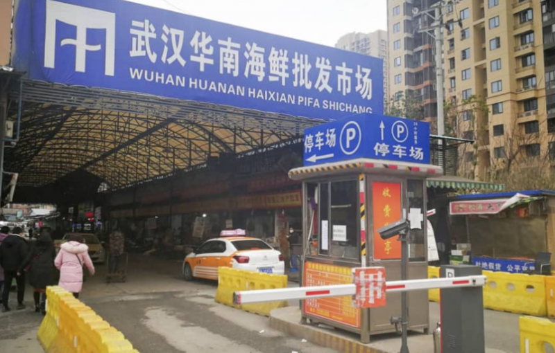 wuhan pneumonia outbreak japan confirms first case of coronavirus