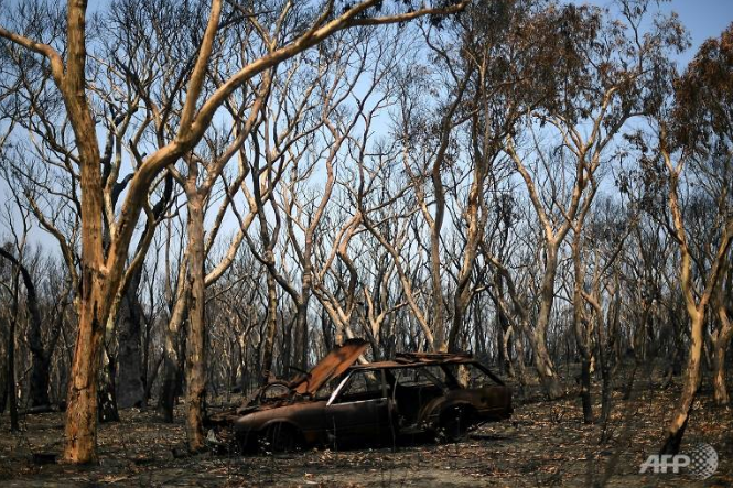 Relief as rain falls over Australian bushfires