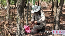 nparenew use technology to improve landmine clearance