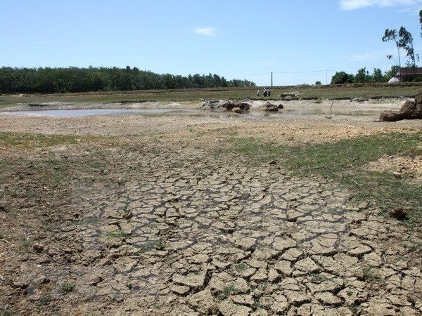 Strengthening climate change mitigation capacity in Ca Mau