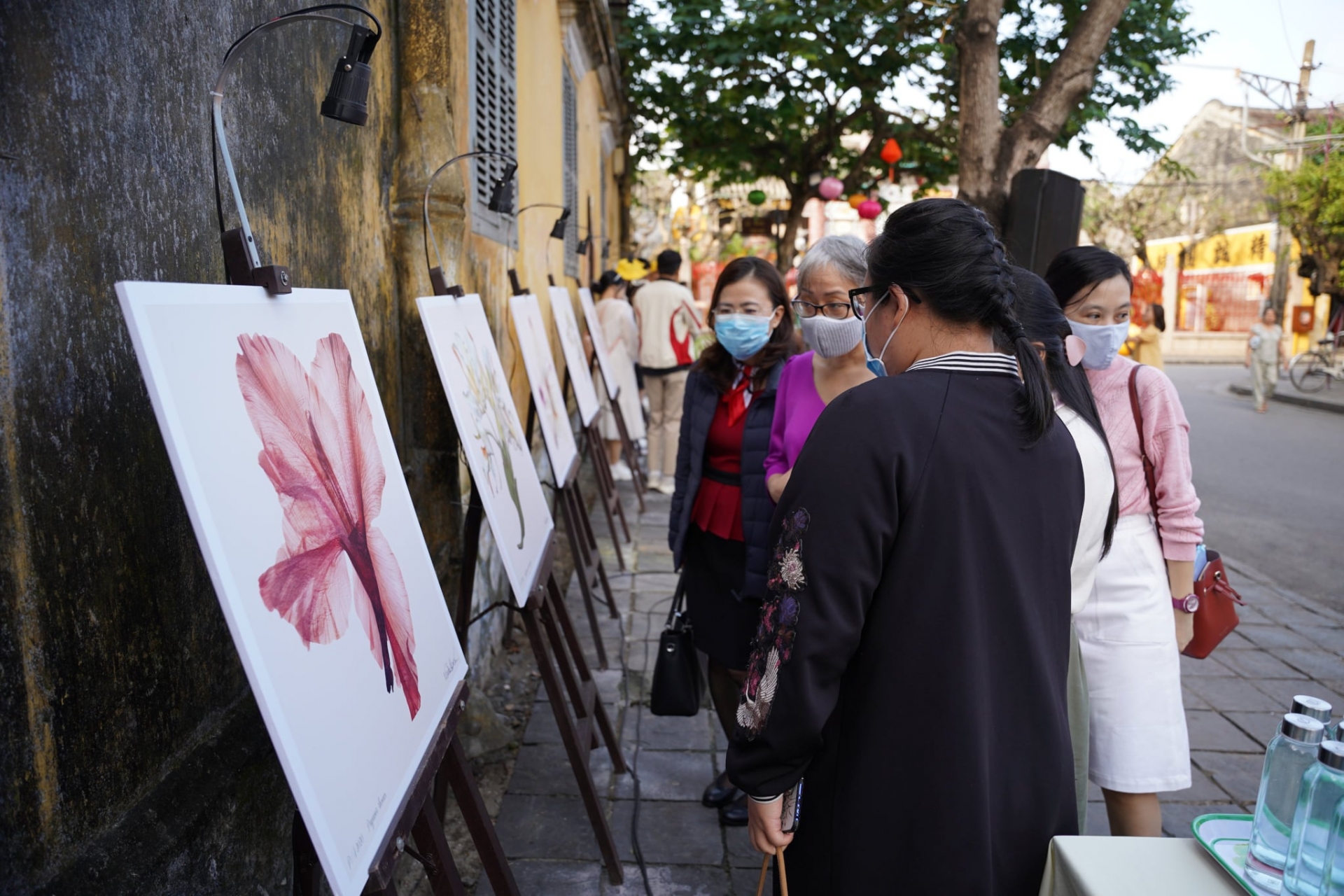 Exhibition introduces colombian flowers in hoi an city