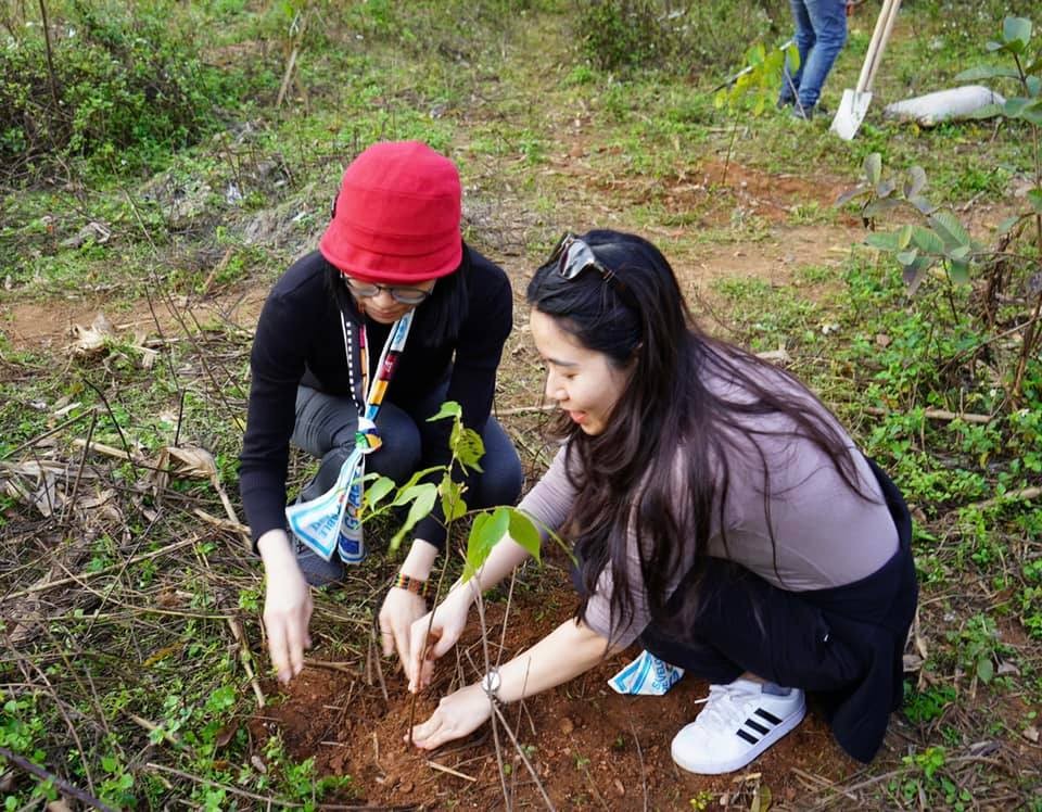 UNDP plants 1,000 Trees in Hoa Binh