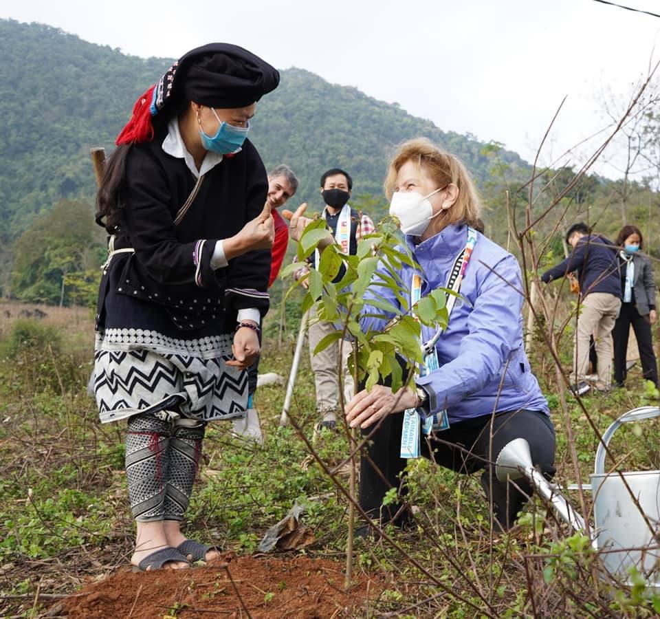UNDP plants 1,000 Trees in Hoa Binh