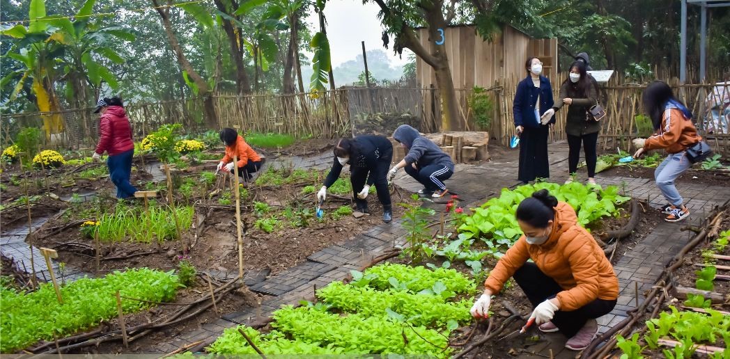 From Waste to Play Space: More Recycled Playground Opened for Kids in Hanoi