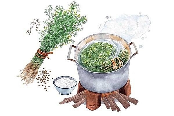 Explain Vietnamese Culture: Why Coriander Used to Purifie Soul and Body for New Year