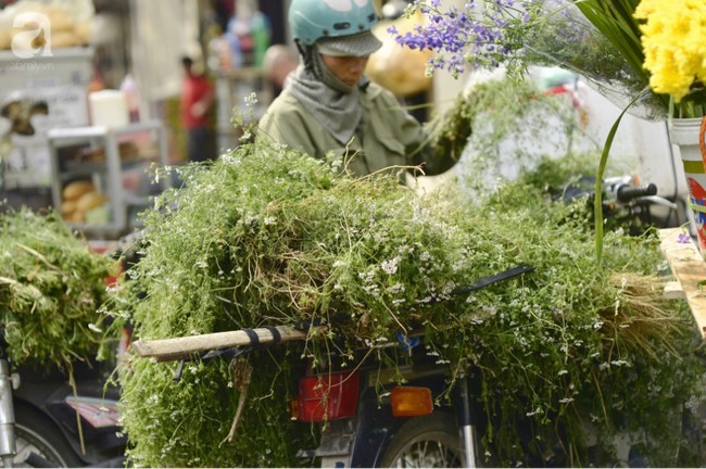 How Coriander Cleaning Purify Soul and Body for New Year