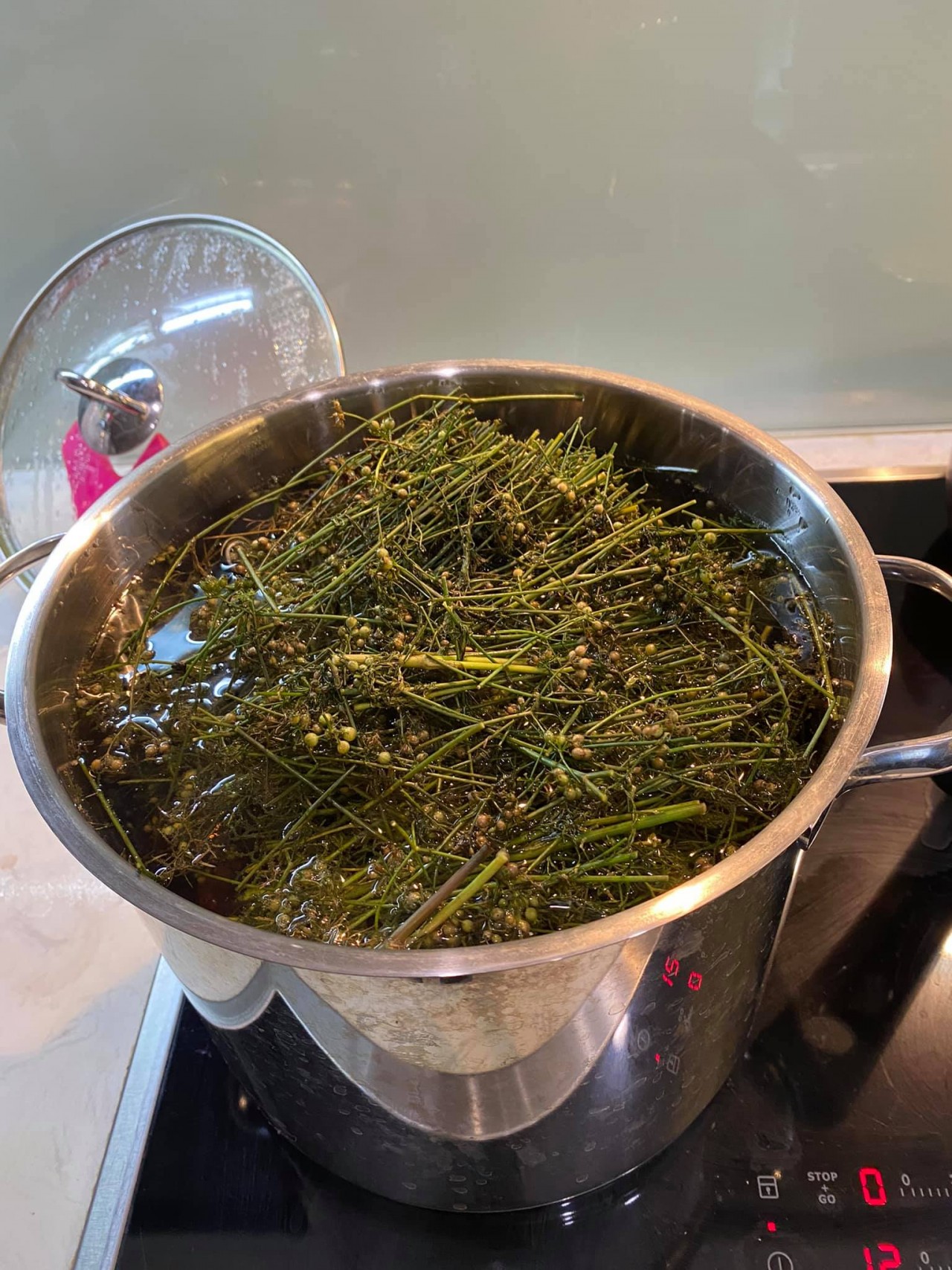 How Coriander Cleaning Purify Soul and Body for New Year