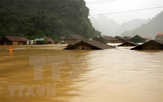 Flood affected people in Quang Ngai receive support from NGO