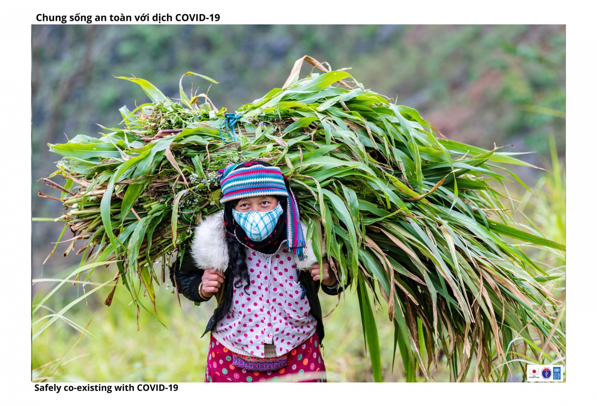 People in Ha Giang develop sustainable economy while combat COVID 19 effectively