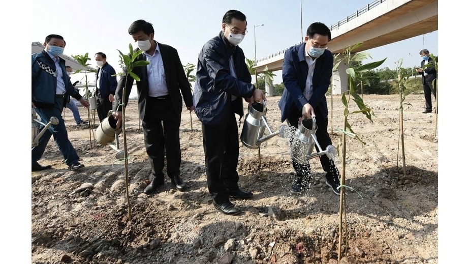 Tree planting festival launched nationwide