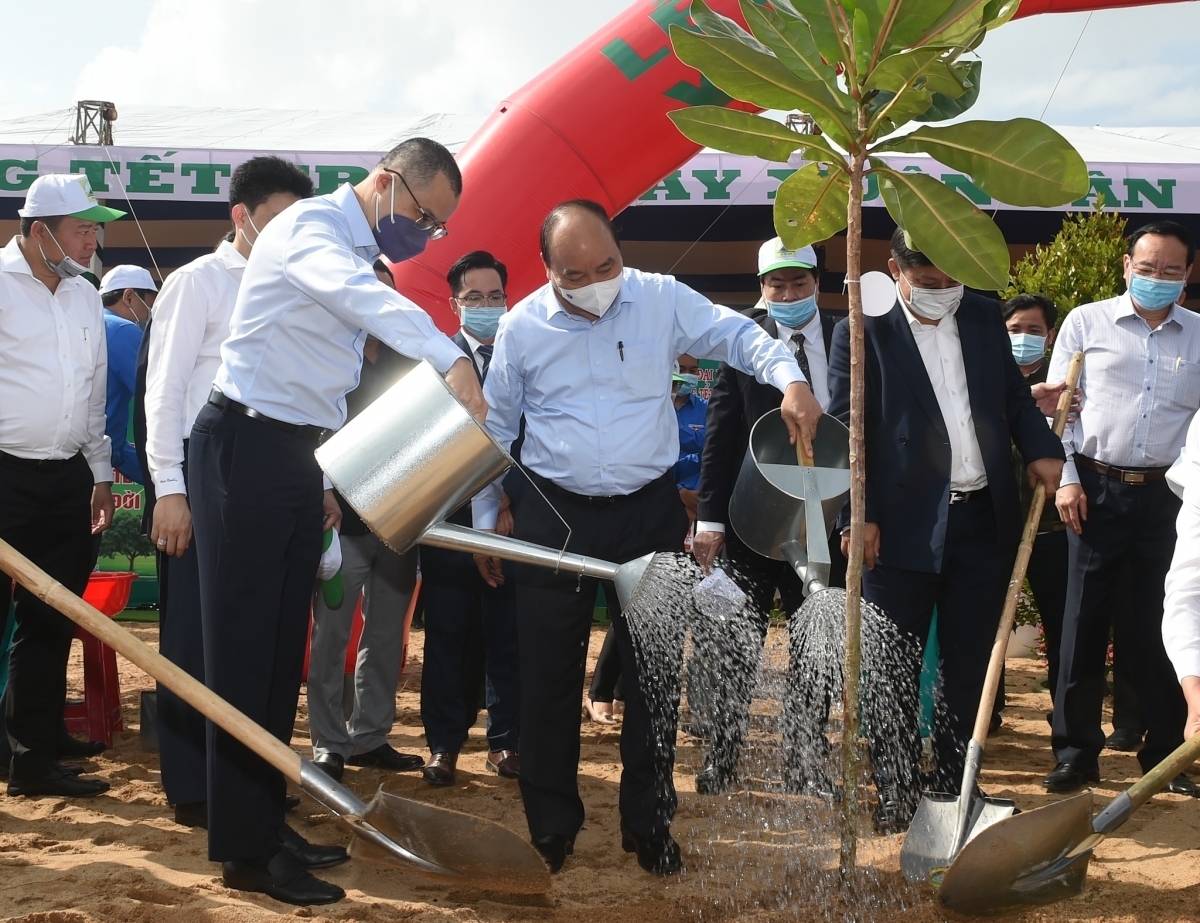 Tree planting festival launched nationwide