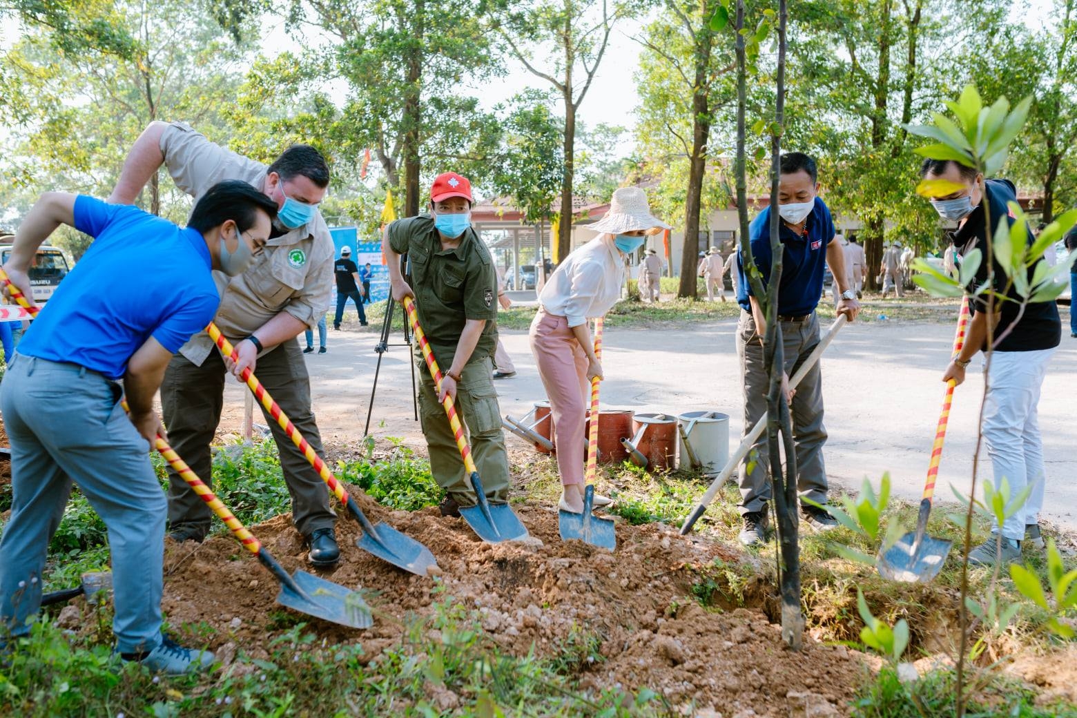 NGOs participate in tree planting festival in Quang Tri