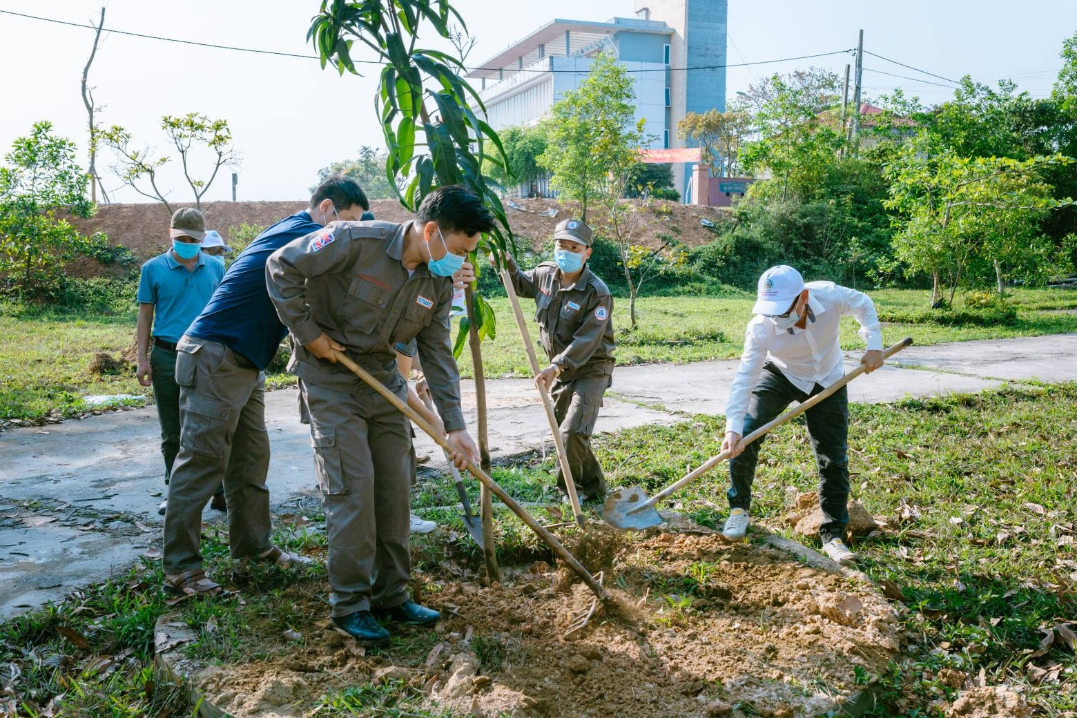 NGOs participate in tree planting festival in Quang Tri