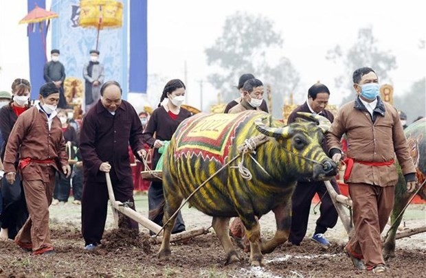 State President Attends Traditional New Year Ploughing Festival in Ha Nam