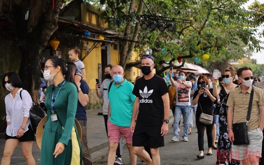 Vietnam Working on Roadmap for Full Tourism Re-Opening