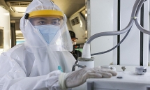 vietnam confirmed the 34th corinavirus case today