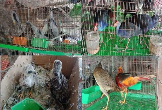 Vietnam put a ban on wildlife trade and consumption