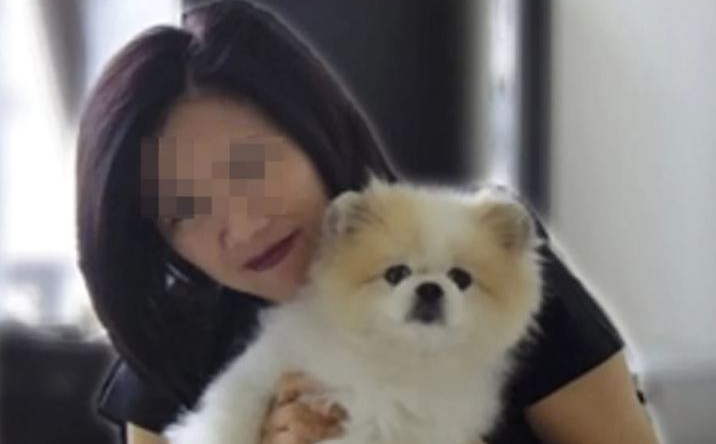 the first pet dog infected with covid 19 in hong kong has died