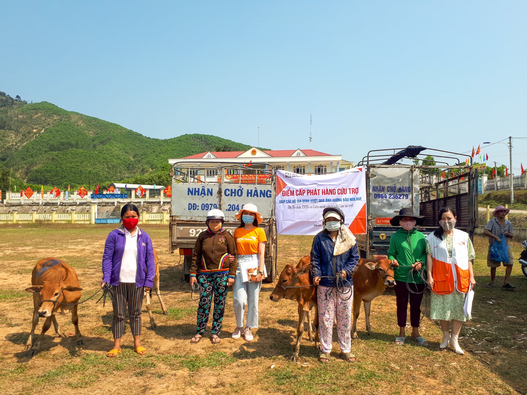 Breeding cows handed over to disaster–affected households in Quang Nam Province