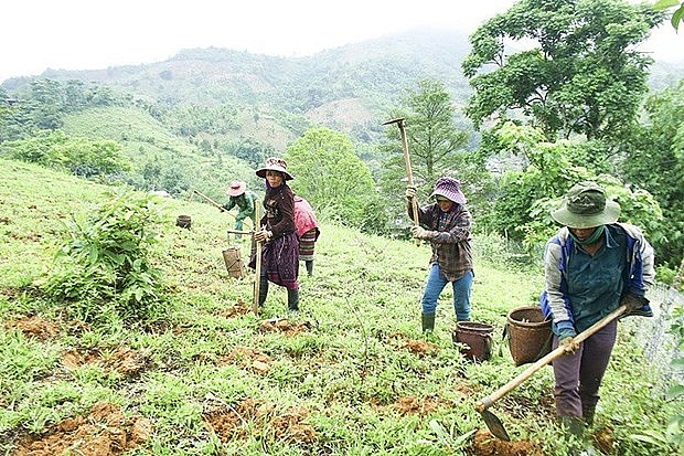 CARE to improve economic position of female ethnic minorities in Ha Giang